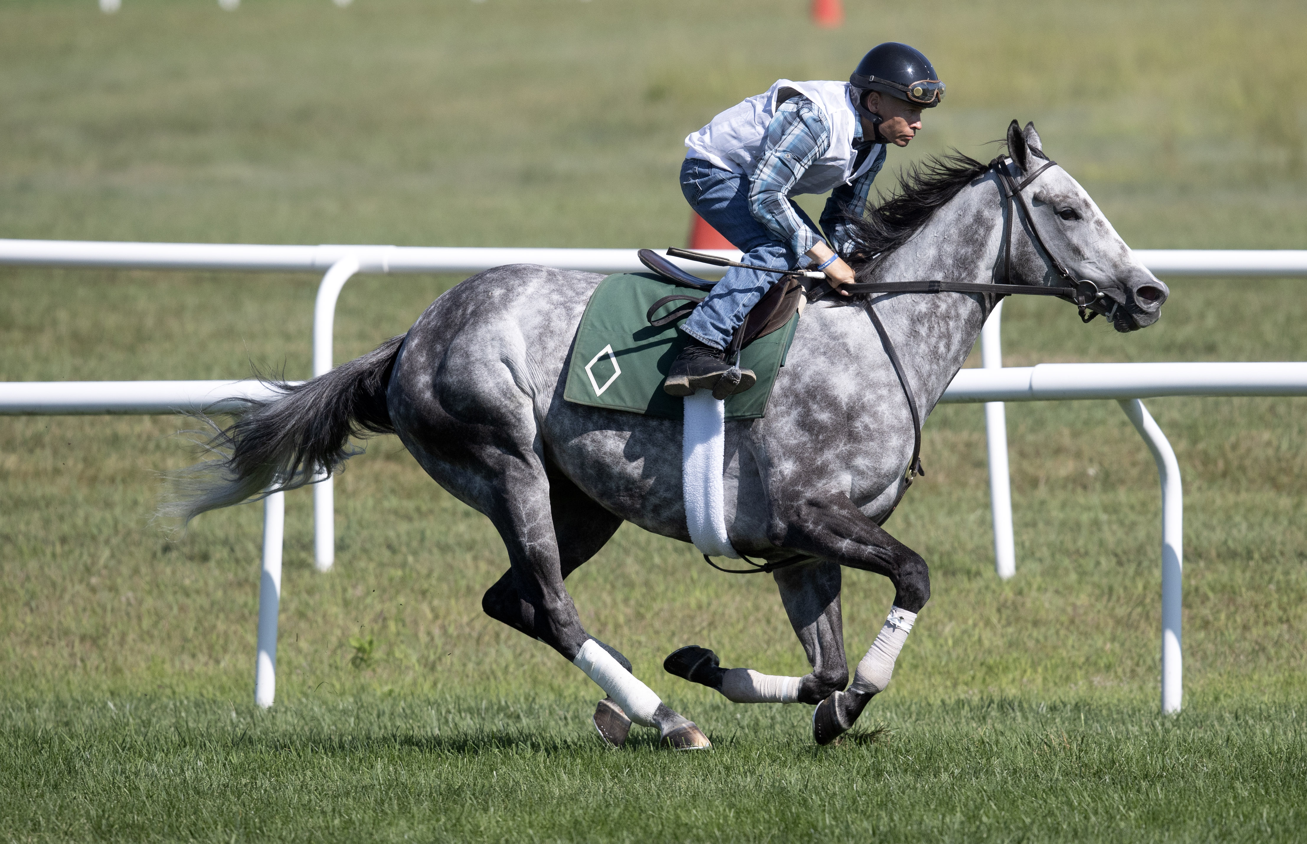 silver horses ビーニー Sterling Silver has recency edge in Hurricane Bertie